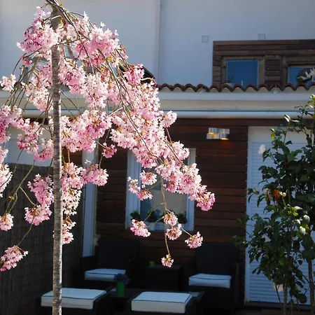 Green Home アパート *