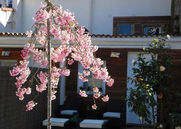 Green Home Apartament *